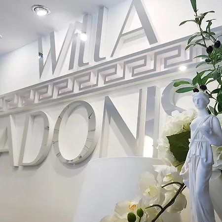 Adonis * سفينويتشي